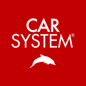 Car System - Custom Dealer Solutions